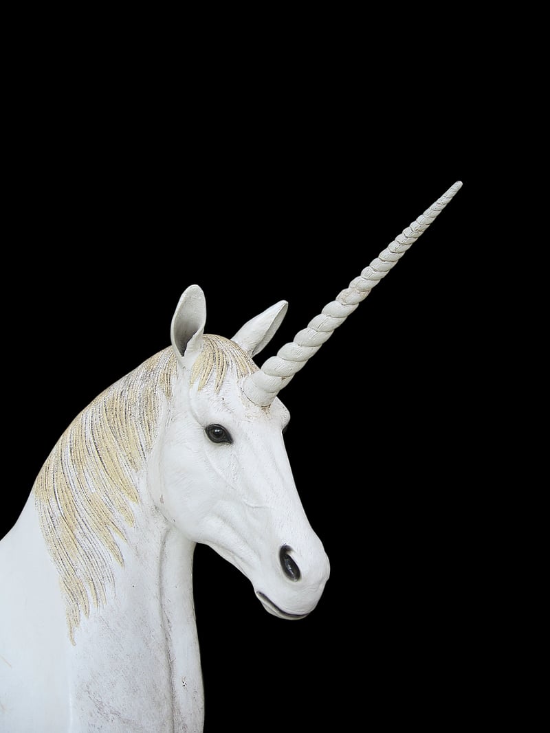 Unicorn Backdrops